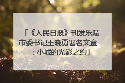 《人民日报》刊发乐陵市委书记王晓勇署名文章：小城的光影之约
