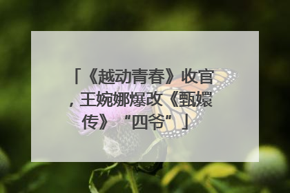 《越动青春》收官，王婉娜爆改《甄嬛传》“四爷”