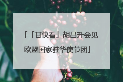 「甘快看」胡昌升会见欧盟国家驻华使节团