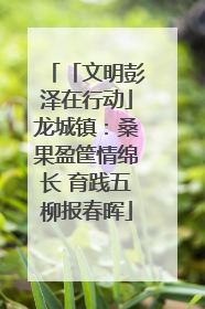 「文明彭泽在行动」龙城镇：桑果盈筐情绵长 育践五柳报春晖