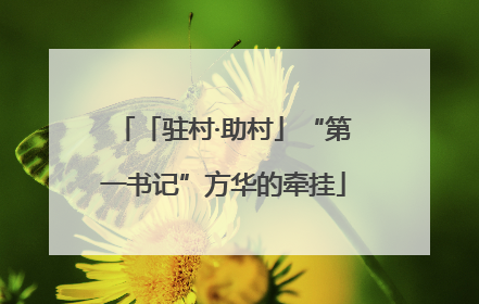 「驻村·助村」“第一书记”方华的牵挂