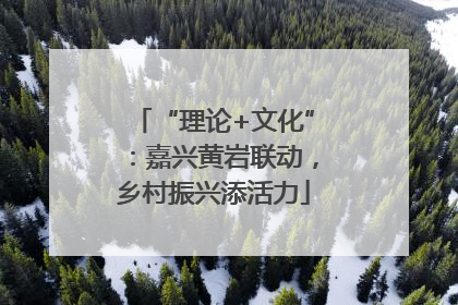 “理论+文化”：嘉兴黄岩联动，乡村振兴添活力