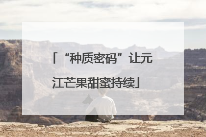 “种质密码”让元江芒果甜蜜持续