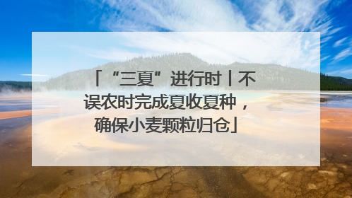 “三夏”进行时丨不误农时完成夏收夏种，确保小麦颗粒归仓