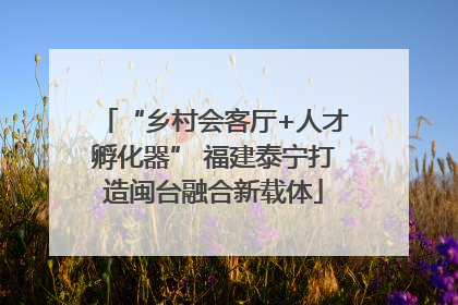 “乡村会客厅+人才孵化器” 福建泰宁打造闽台融合新载体