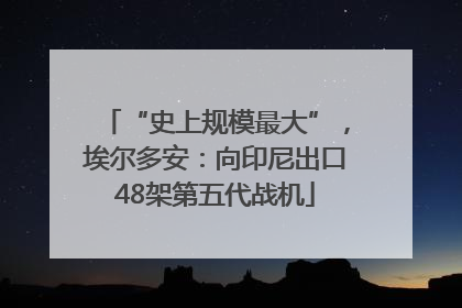“史上规模最大”，埃尔多安：向印尼出口48架第五代战机