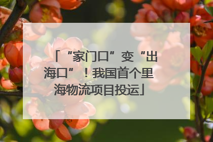 “家门口”变“出海口”！我国首个里海物流项目投运