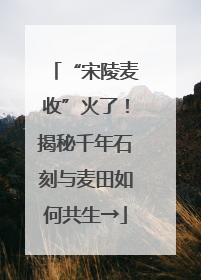 “宋陵麦收”火了！揭秘千年石刻与麦田如何共生→