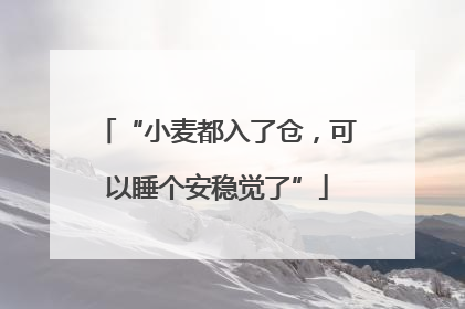 “小麦都入了仓，可以睡个安稳觉了”