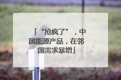 “抢疯了”，中国能源产品，在邻国需求暴增