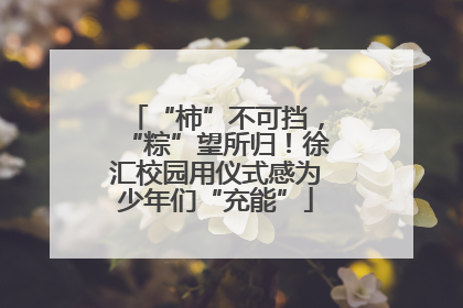 “柿”不可挡，“粽”望所归！徐汇校园用仪式感为少年们“充能”