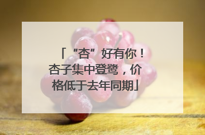 “杏”好有你！杏子集中登鹭，价格低于去年同期