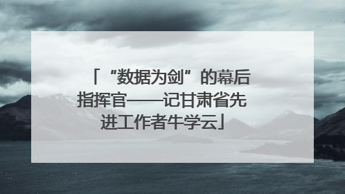 “数据为剑”的幕后指挥官——记甘肃省先进工作者牛学云