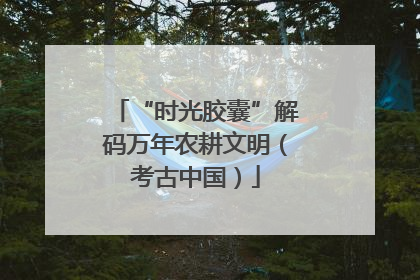 “时光胶囊”解码万年农耕文明（考古中国）