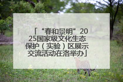 “春和景明”2025国家级文化生态保护（实验）区展示交流活动在洛举办