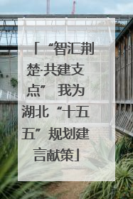 “智汇荆楚·共建支点” 我为湖北“十五五”规划建言献策