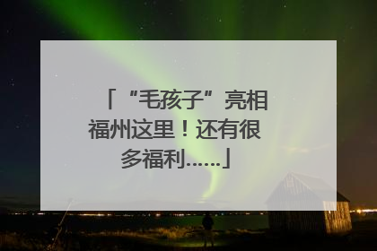 “毛孩子”亮相福州这里！还有很多福利……