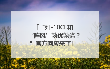 “歼-10CE和‘阵风’孰优孰劣？”官方回应来了