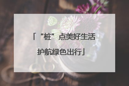 “桩”点美好生活 护航绿色出行