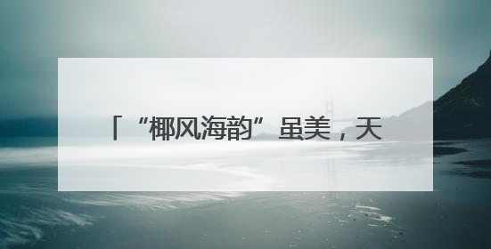 “椰风海韵”虽美，天降“巨叶”要防！台风季，有关部门提醒→