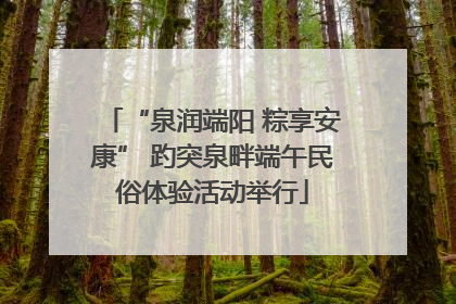 “泉润端阳 粽享安康” 趵突泉畔端午民俗体验活动举行