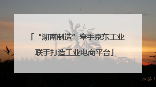 “湖南制造”牵手京东工业 联手打造工业电商平台