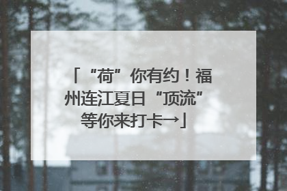 “荷”你有约！福州连江夏日“顶流”等你来打卡→