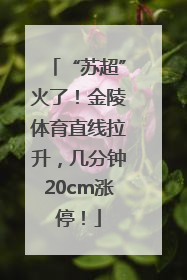“苏超”火了！金陵体育直线拉升，几分钟20cm涨停！