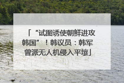 “试图诱使朝鲜进攻韩国”！韩议员：韩军曾派无人机侵入平壤