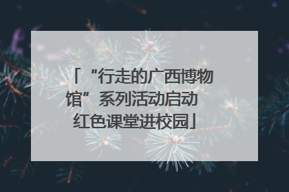 “行走的广西博物馆”系列活动启动 红色课堂进校园