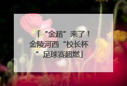 “金超”来了！金陵河西“校长杯”足球赛超燃