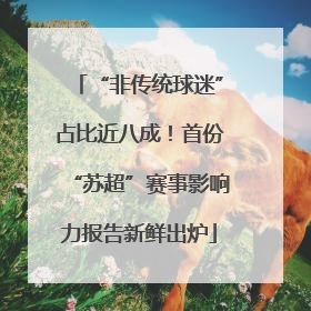 “非传统球迷”占比近八成！首份“苏超”赛事影响力报告新鲜出炉