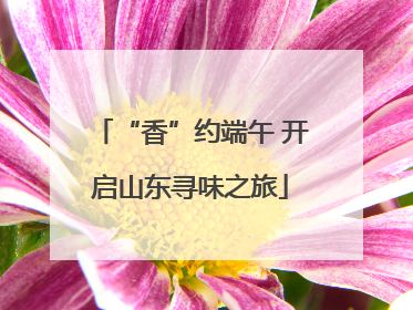 “香”约端午 开启山东寻味之旅