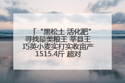 “黑松土 活化肥”寻找最美粮王 莘县王巧英小麦实打实收亩产1515.4斤 超对照田144斤！