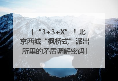 “3+3+X”！北京西城“枫桥式”派出所里的矛盾调解密码