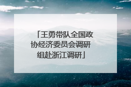 王勇带队全国政协经济委员会调研组赴浙江调研