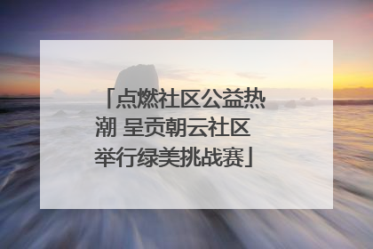 点燃社区公益热潮 呈贡朝云社区举行绿美挑战赛