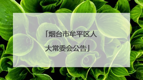 烟台市牟平区人大常委会公告