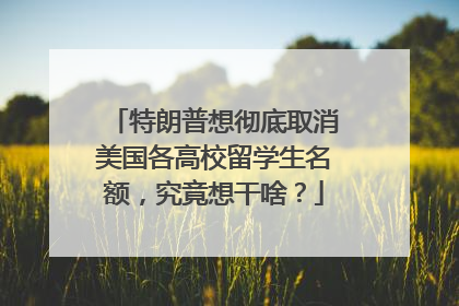 特朗普想彻底取消美国各高校留学生名额，究竟想干啥？