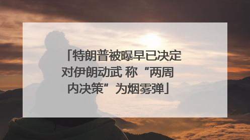 特朗普被曝早已决定对伊朗动武 称“两周内决策”为烟雾弹