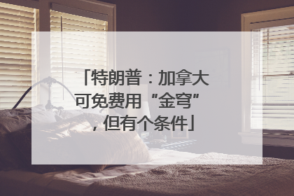 特朗普：加拿大可免费用“金穹”，但有个条件