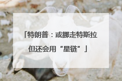 特朗普：或挪走特斯拉 但还会用“星链”