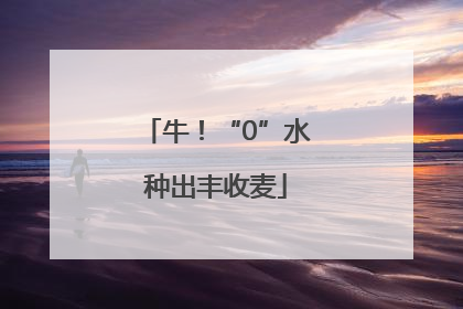 牛！“0”水种出丰收麦