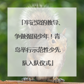 牢记党的教导、争做强国少年！青岛举行示范性少先队入队仪式