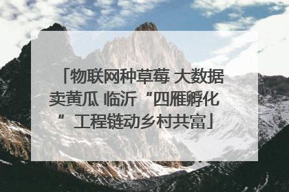 物联网种草莓 大数据卖黄瓜 临沂“四雁孵化”工程链动乡村共富