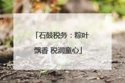 石鼓税务：粽叶飘香 税润童心
