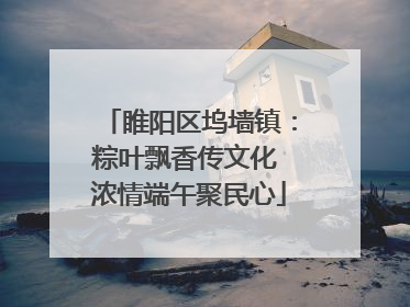 睢阳区坞墙镇：粽叶飘香传文化 浓情端午聚民心