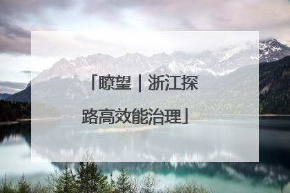 瞭望｜浙江探路高效能治理