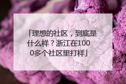 理想的社区，到底是什么样？浙江在1000多个社区里打样
