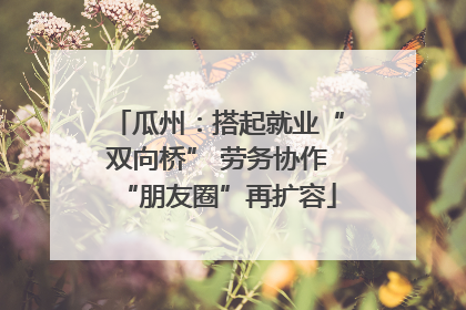 瓜州：搭起就业“双向桥” 劳务协作“朋友圈”再扩容